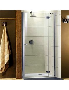 Radaway Shower Door Torrenta DWJ - 1