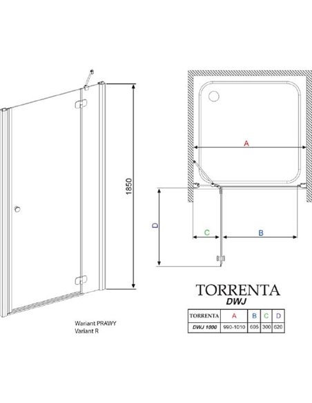 Душевая дверь в нишу Radaway Torrenta DWJ 100 прозрачное стекло R - 5