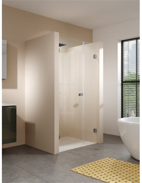 Riho Shower Door Scandic Soft Q102 - 2