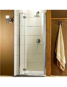 Radaway Shower Door Torrenta DWJ - 1