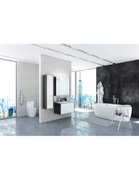 Мебель для ванной Roca Ronda 70 белый глянец, антрацит - 2