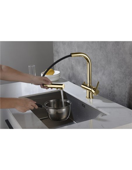 Blue Water Kitchen Faucet Apala Gold