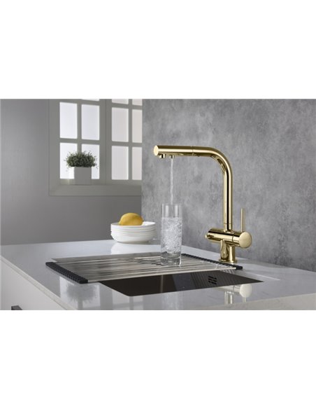 Blue Water Kitchen Faucet Apala Gold
