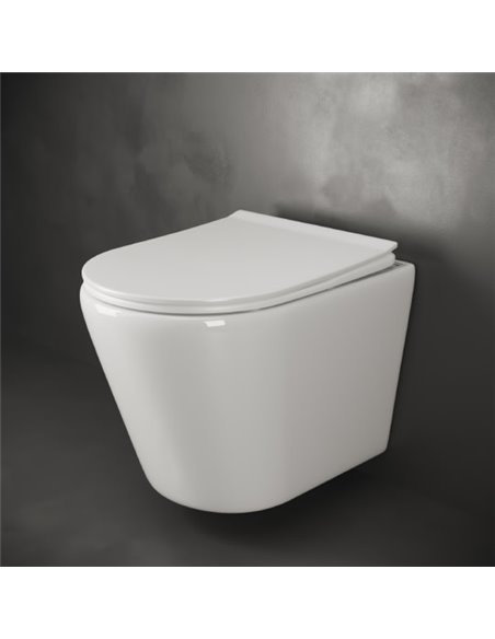 Ceramica Nova Wall Hung Toilet Highlight Rimless CN1804 - 5