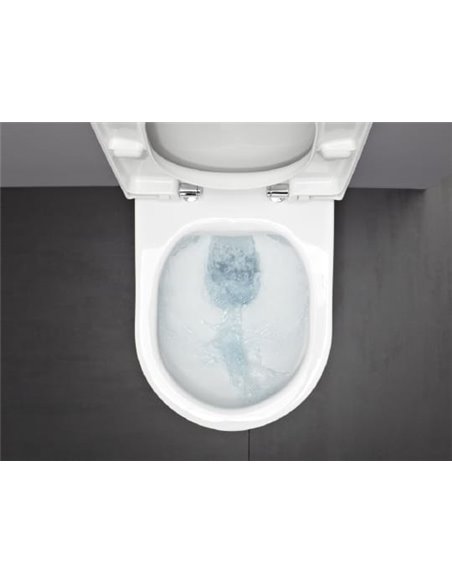 Laufen Wall Hung Toilet Pro Rimless 8.2096.6.000.000.1 - 7