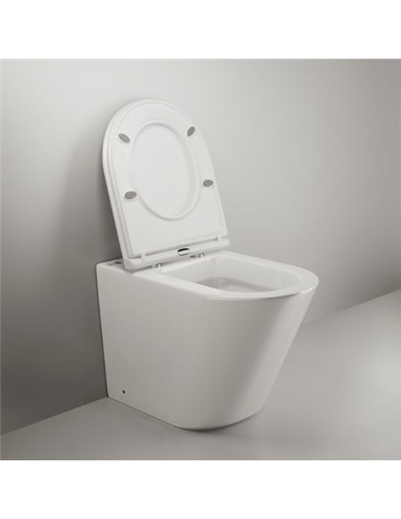 Ceramica Nova Back To Wall Toilet Trend 114010 - 5