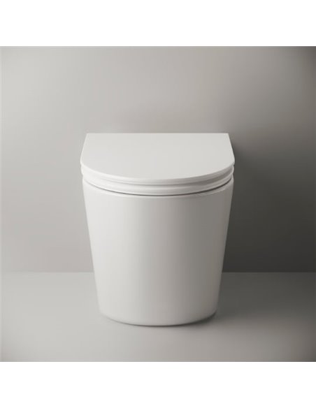 Ceramica Nova Back To Wall Toilet Trend 114010 - 7