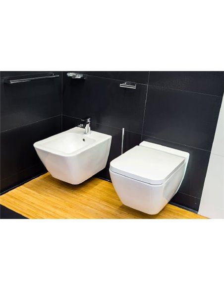 Villeroy & Boch Wall Hung Toilet Finion 4664R0R1 - 5