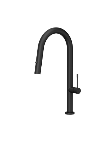 QUADRON FELICITY T LINE SteelQ kitchen faucet with pull-out spout and shower pure carbon